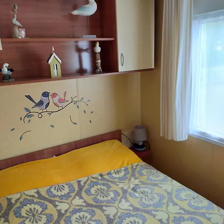 キャンプ場 Mobil-home 4 Personne Bord De *